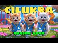 Kucing Lucu Pok Ame Ame Cilukba Pok Ame Ame Belalang Kupu Kupu Cilukba Viral