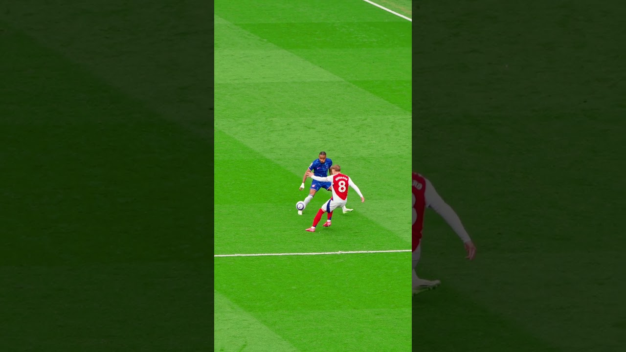 PURE ART FROM THE SKIPPER 🎨