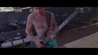 Song To Song (2017) - RHCP scene video