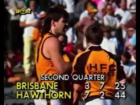Hawthorn vs Brisbane Bears - RD 15 1988 - HFC Highlights