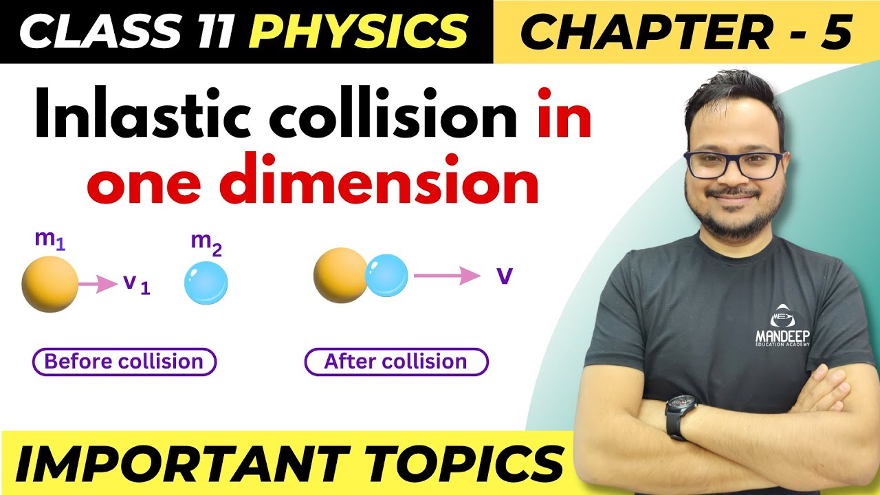 Inelastic Collision in One Dimension | Class 11 Physics Chapter 5 | Important Topics