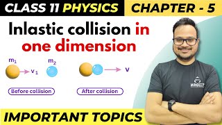 Inelastic Collision in One Dimension | Class 11 Physics Chapter 5 | Important Topics