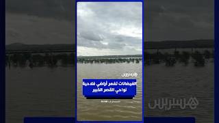 مياه الفيضانات تغمر اراضي فلاحية بالبناندة طريق سيدي سلامة ضواحي القصر الكبير thumbnail