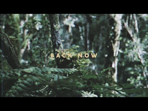 Last Heroes & Ethan Dufault - Back Now (Lyric Video)