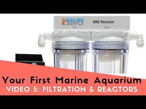 How To Set Up Your First Marine Aquarium, Video 5: Media Reactors and Filtration