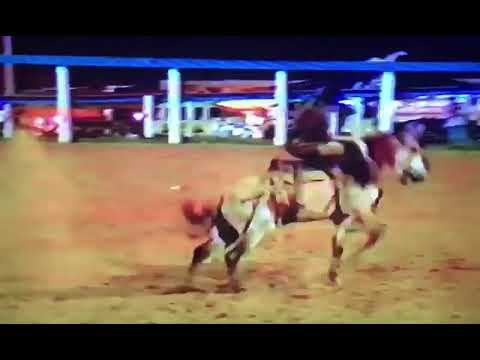 JOSÉ MARIANO DE OLIVEIRA X RIO PRETO - RODEIO DE TACIBA 1994