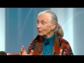 Jane Goodall On Animal Consciousness And The Realities Of The Ivory Trade