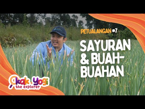 Kak Yogi The Explorer #7: Sayuran & Buah-Buahan