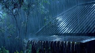 (No Ads) Heavy Rainstorm Sounds on a Dark Night ⛈️ Fall Asleep Fast & Enjoy Deep Relaxing Sleep