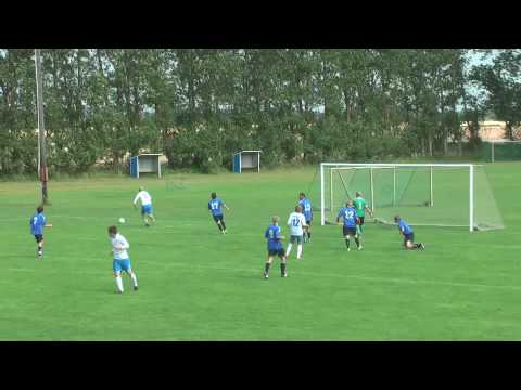 Vikens Zlatan har det jobbigt