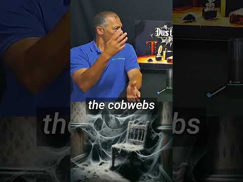 Are spiders in your home dangerous?  Let's separate fact from fiction.