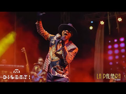 Orquesta La Palabra - Festival de Salsa en Vivo (Rumores, Lady, El Tun Tun de Tu Corazon)