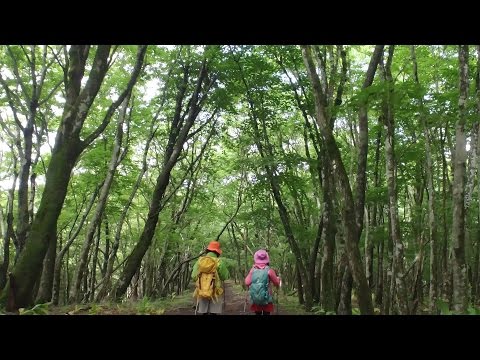 高指山・明神山ハイキングコース