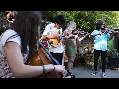 Jubilee - Introduction