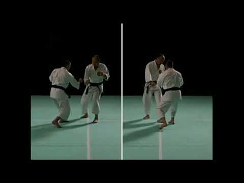 Waza Dan 3 | Waza Shorinji Kempo (Techniques) | Part D | 少林寺拳法