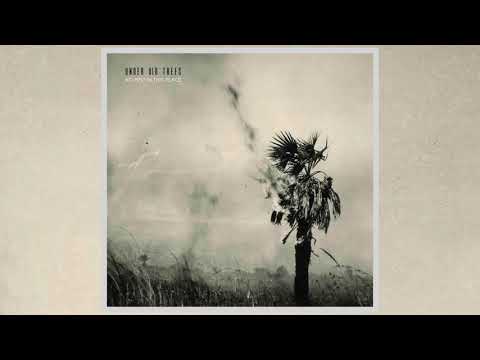 Under Old Trees - No Mist In This Place [Full EP]