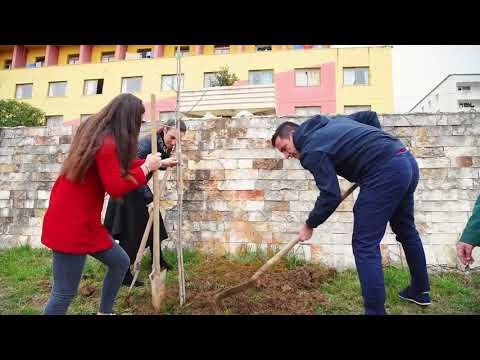 Veliaj: I lumtur qe po i afrohemi finishit me 100 mije peme te reja | ABC News