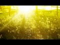 Lemongrass - Harmony [Original Mix][Relax, Chill ...
