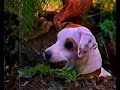 K TV Wishbone Promo Lq