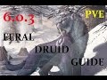 World of Warcraft - 6.0.3 - Basic Feral Druid Guide ...