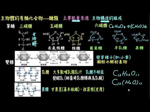 生物體內常見的糖類 構造與功能 自然 均一教育平台