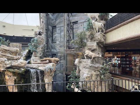 AMAZING Scenic ThyssenKrupp Oildraulic Elevators (Cars 1 & 2) at Bass Pro Shops, Clarksville, IN