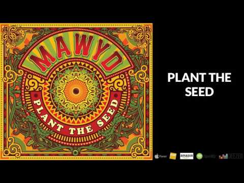 MAWYD - PLANT THE SEED [Album "Plant The Seed - OFFICIEL]