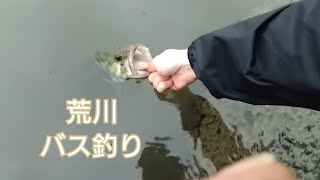 荒川　バス釣り調査　2024.9.23　ラージマウス