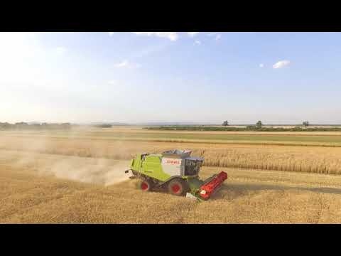 Weizen und Linsen ernte 2019 | Claas Lexion | NewHolland | John Deere | Harvest 2019