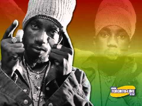 Sizzla feat. Capleton - The Vibes