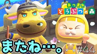 突然ですが、引っ越します。#44【あつまれどうぶつの森 女性実況】
