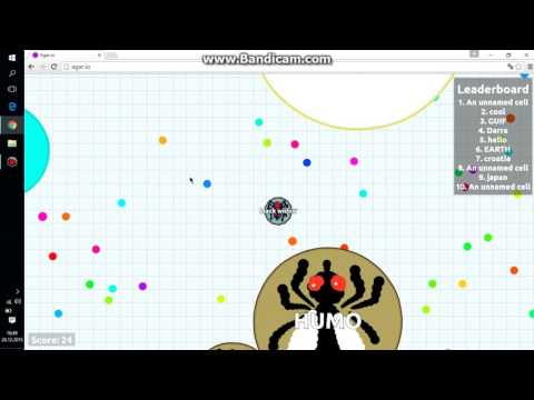 agar.io #1