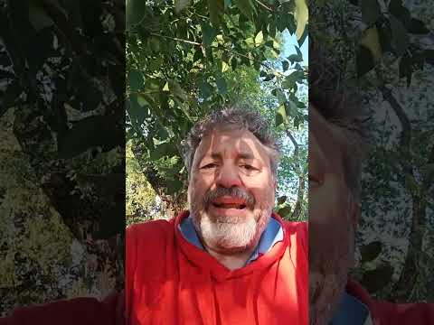 Essere liberale secondo Chatgpt