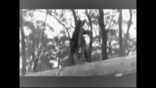 DENIM MAN - MALEVOLENT CREATION -MINDLOCK  HOME VIDEO