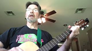 “Pathos Prairie” Parquet Courts (acoustic cover)