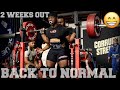 Coming Back To Life | 2 Weeks Out