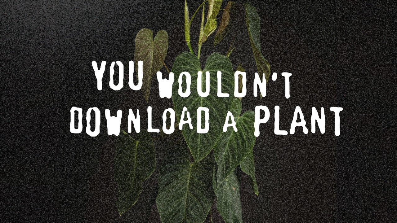 How the Legal System Is Ruining Plants