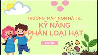 Phân loại hạt