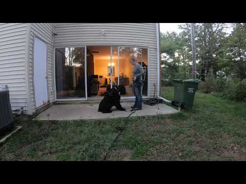 Shaping Focus Off Dropped Food