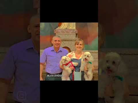 En la catedral de san Miguel de Tucumán con lunita y canela y el secretario de la iglesia .