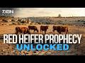 The Red Heifer Prophecy… Ancient Israel Was Practicing the Death of Jesus 1,500 yrs Before His Birth