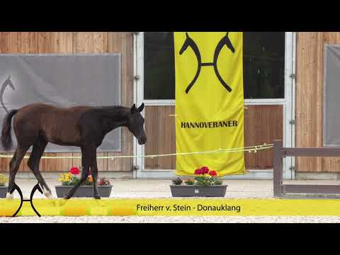 Freiherr v  Stein Donauklang