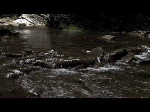 World Heritage in Switzerland: Monte San Giorgio