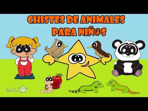 CHISTES de ANIMALES para morirse de la risa para NIÑOS 🐘🐈🦎🐛🐧 - Chistes buenos #2