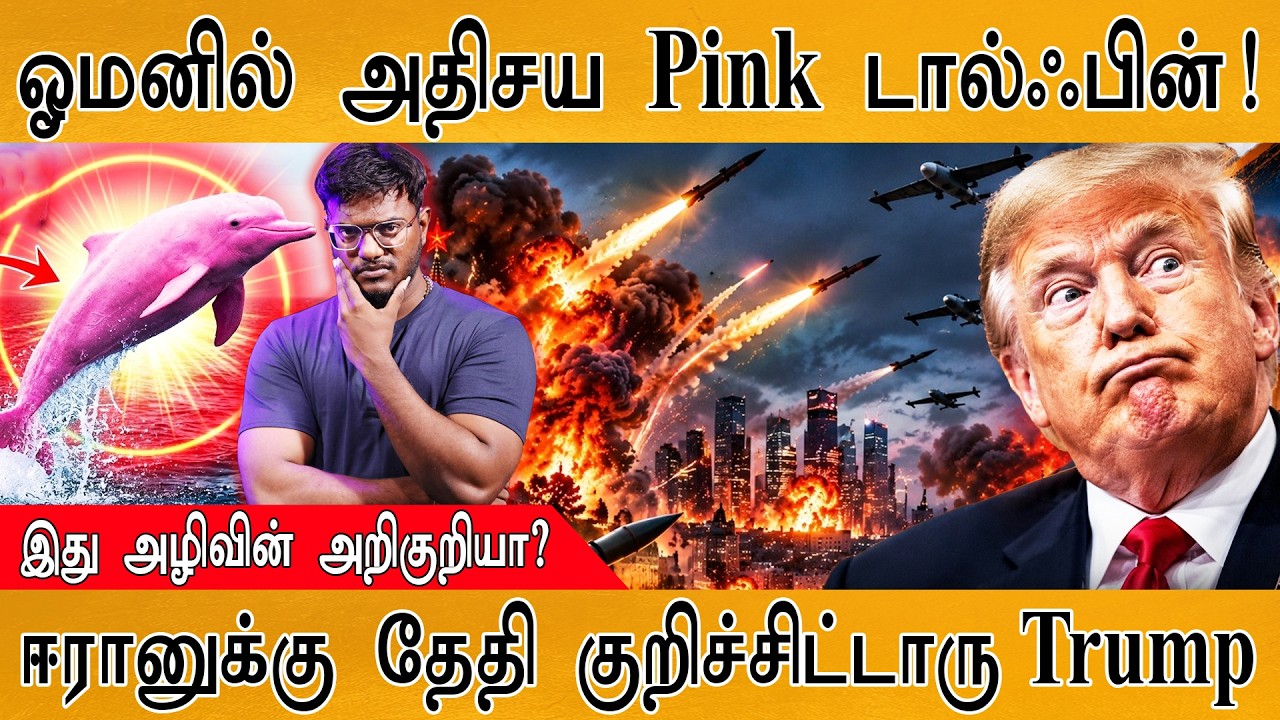 ஓமனில் Pink டால்ஃபின் தென்பட்டதால் பரபரப்பு | அழிவின் ?
