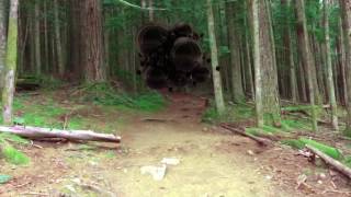 Shake It Loose - Astronauts