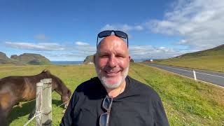 05 - Wendells Wanderings - Iceland 2023 - Vestmannaeyjabær - Icelandic horses