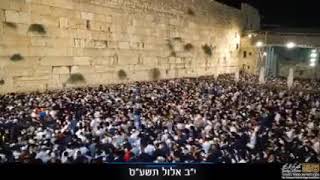 סיכום מעמדי סליחות בכותל המערבי