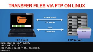 How to Transfer Files Between Two Linux Machines Using FTP on Command Line