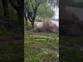 How fast flash floods happen 😯